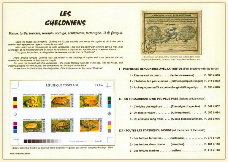 Les chéloniens