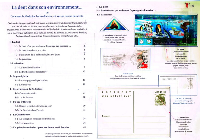 Les dents dans leur environnement