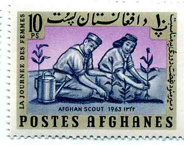 Un timbre afghan